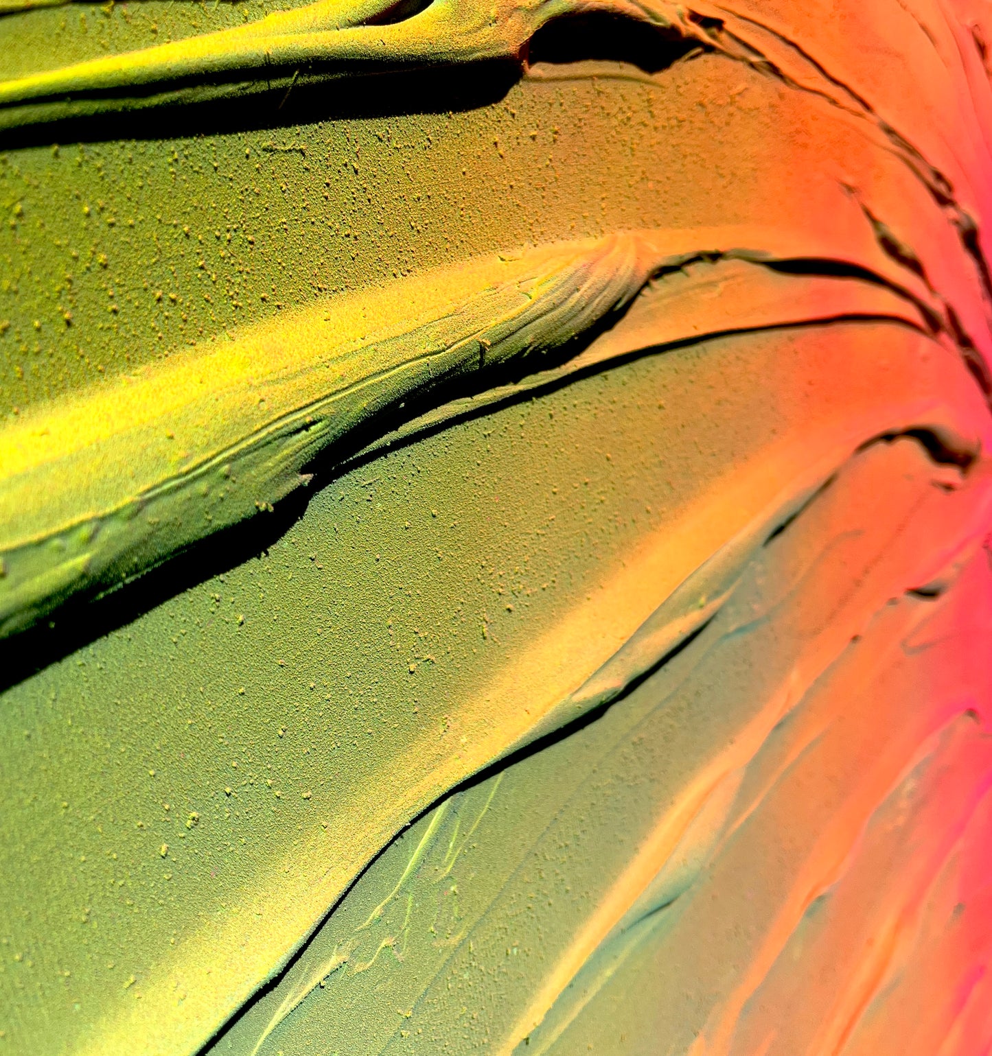 Becoming collection #5