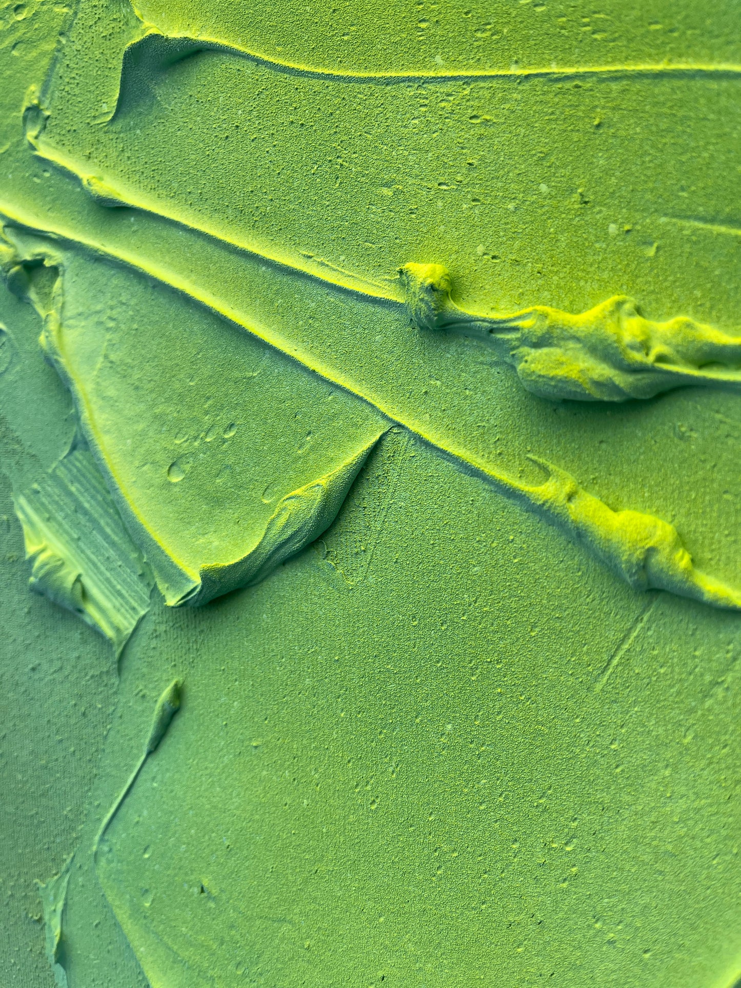 Becoming collection #11