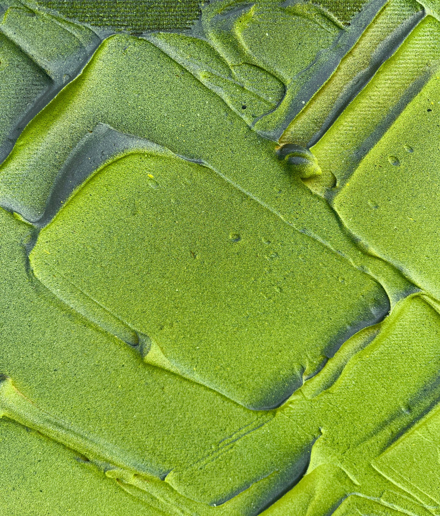 Becoming collection #21