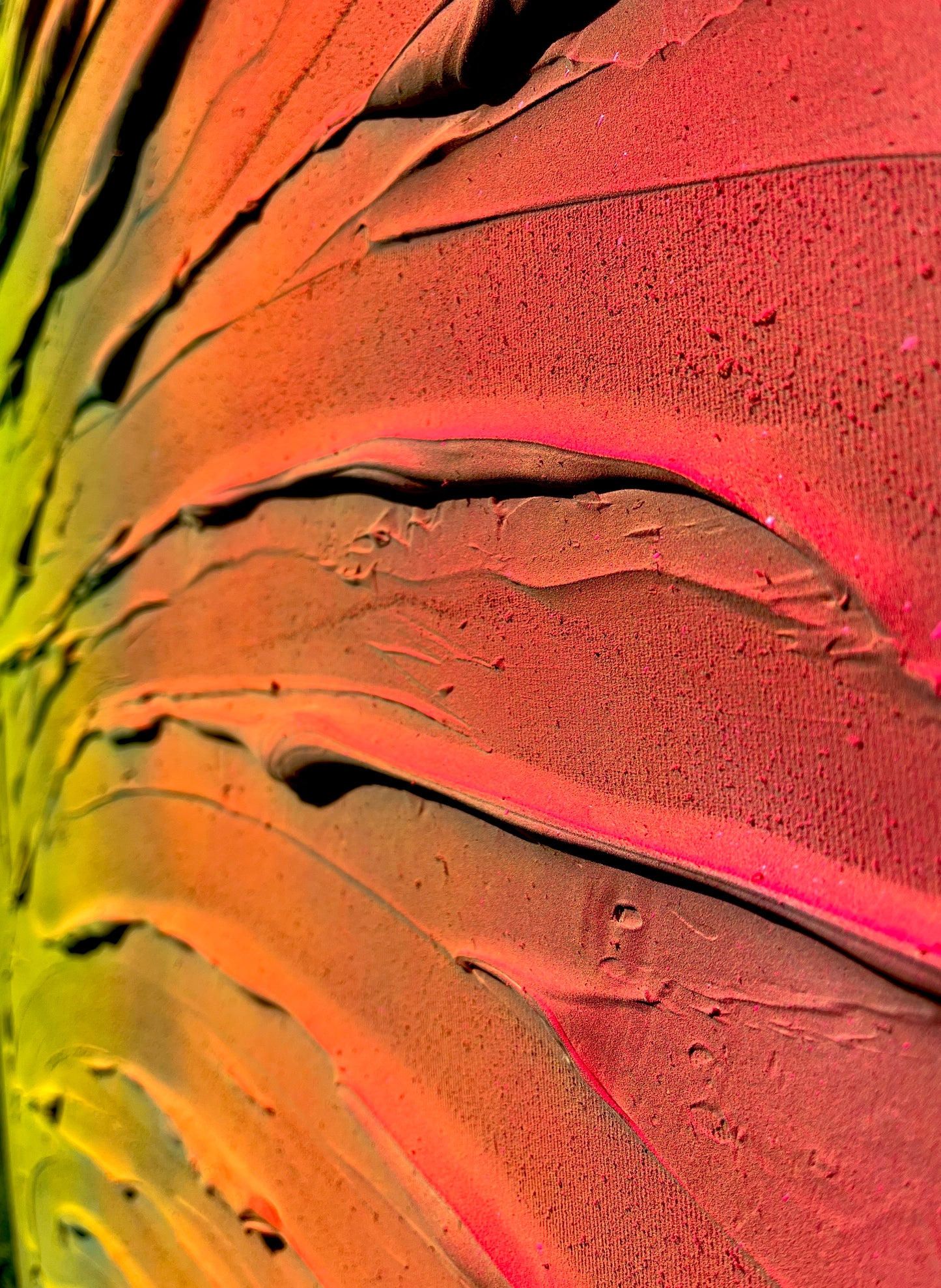 Becoming collection #5